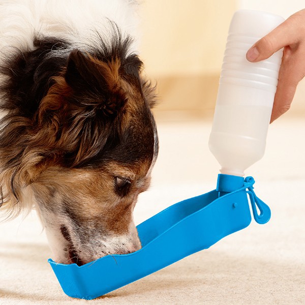 Pet Drink Portable Travel / Tempat Air Botol Minum Hewan Anjing Kucing