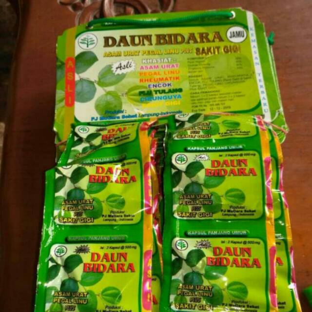 Jual Kapsul Daun Bidara Daun Bidara Sachet Hijau Obat Asam Urat Nyeri Sendi Sakit Gigi