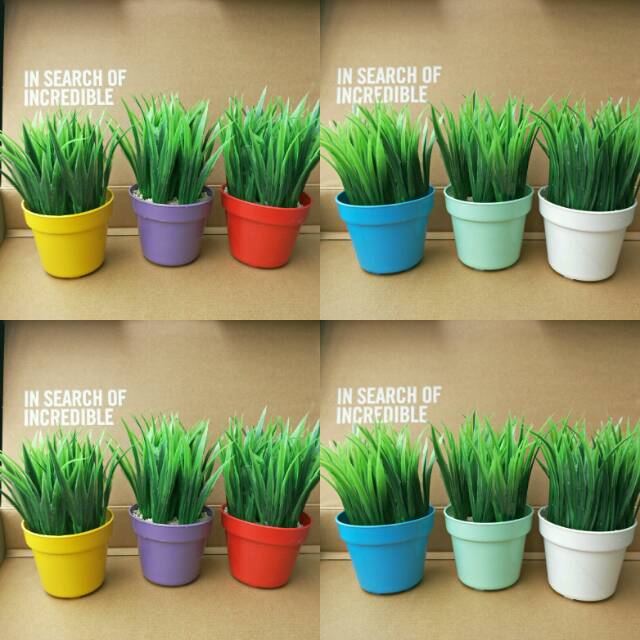 ARIANI1318 SET BUNGA PLASTIK RUMPUT MINI DENGAN POT PLASTIK WARNA WARNI HEXAGONAL BULAT