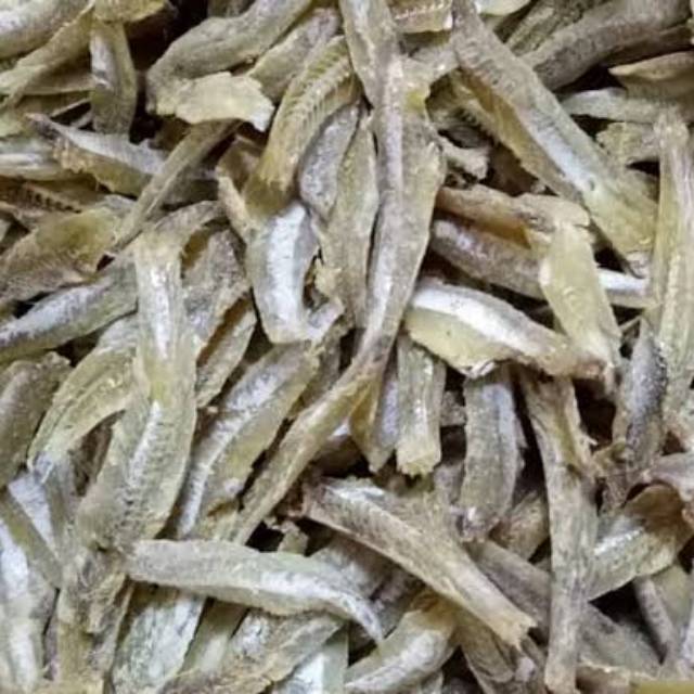 

Ikan teri jengki