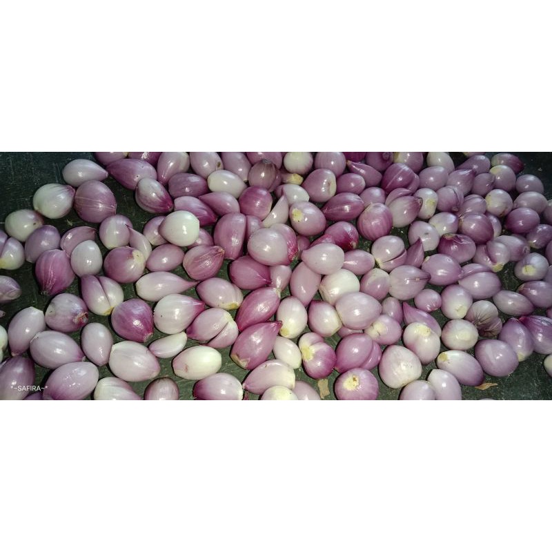 

bawang merah kupas 500gr