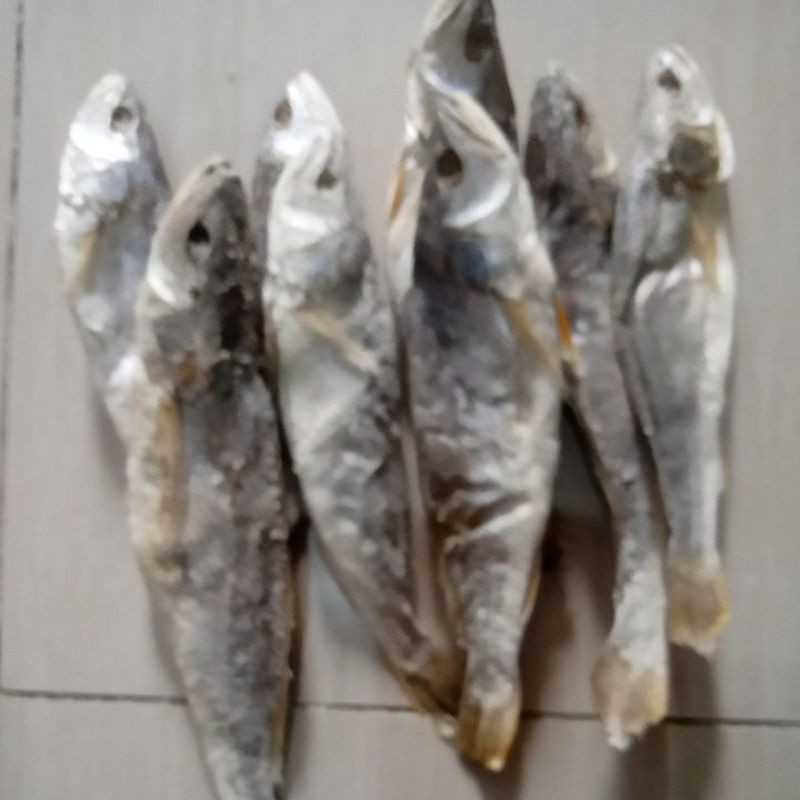 

ikan asin sangge