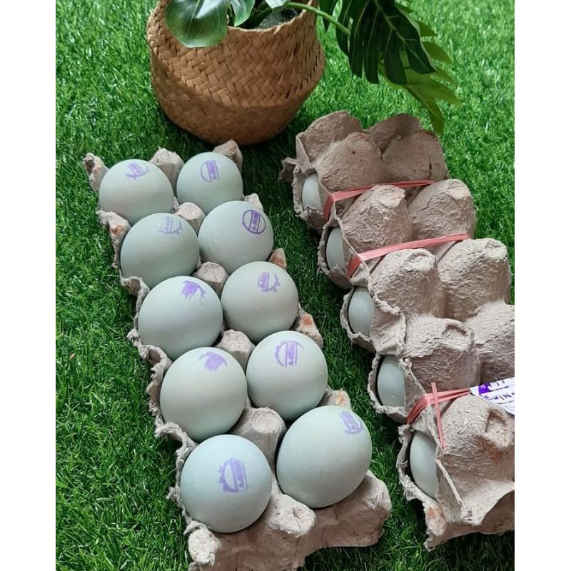 

Telor asin asli brebes