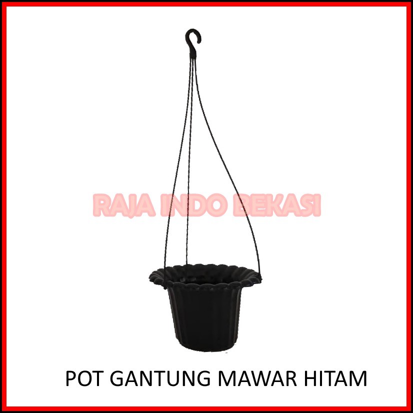 Pot Gantung Mawar Hitam - Pot Plastik Bunga Gantung Hitam Cantik  Pot Gantung Hias Bunga Lili Paris