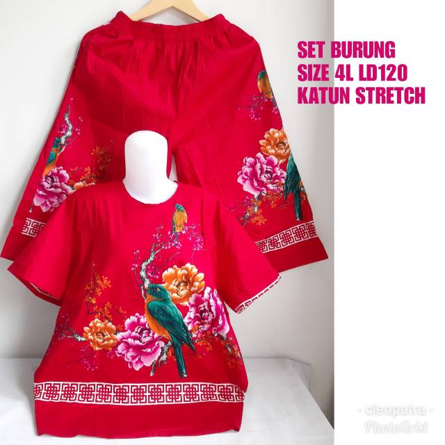 SET BURUNG 4L