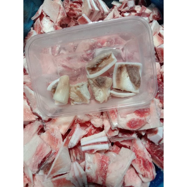 

tulang muda/tulang rangu/scapular