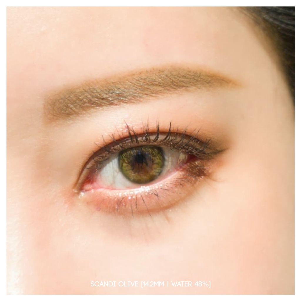 Softlens Scandi Olive (Green) | EOS Princess [Mikhayloveshop]