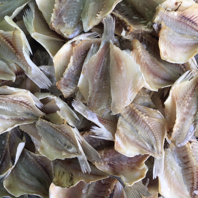 

ikan asin jumbo belah asli sibolga terlaris berkualitas