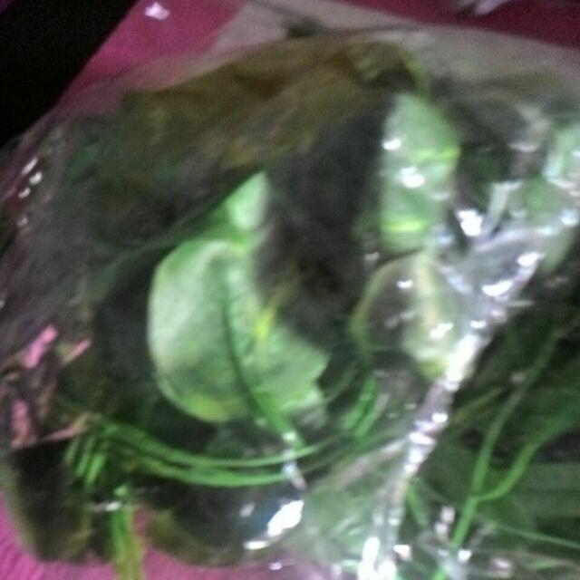 Dau  Rambat / Daun Artificial / Pagar Rambat / Dekor Rumah # Shabby Chic