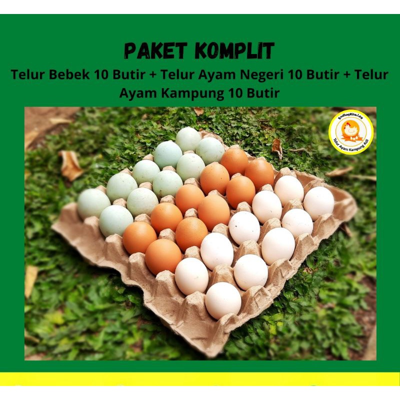 

Telur bebek 10 butir + Telur Ayam Negeri 10 butir + Telur Ayam Kampung 10 butir