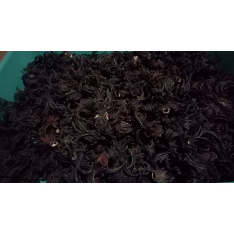 

Rosella ungu berkwalitas baik kemasan 100 gr.