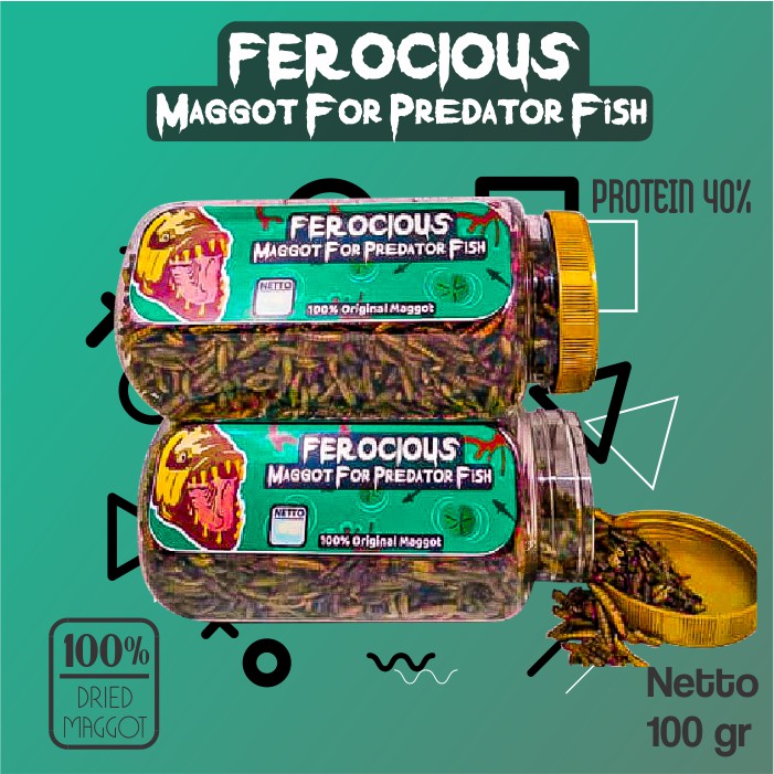 Pakan Makanan Ikan Predator Ferocious (Maggot BSF Kering) Channa Arapaima Oscar Datnoid Peacock Bass