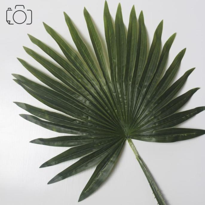 Daun Palem Besar / Daun Palsu / Artificial Leaf / Properti Foto