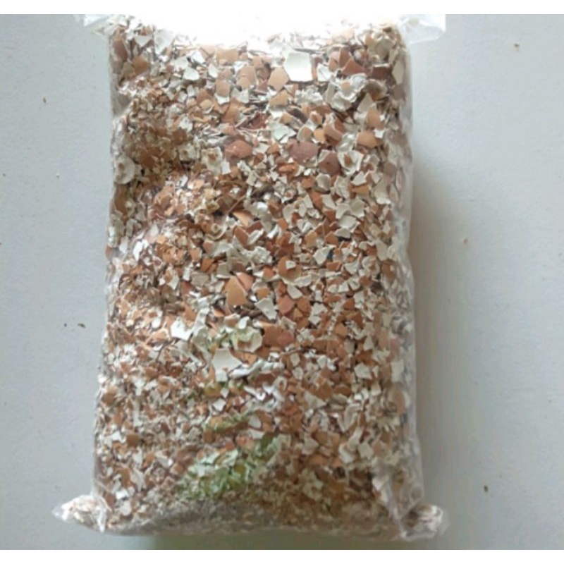 

cangkang telur murah 1kg