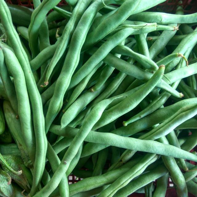 

Buncis segar 250 gram