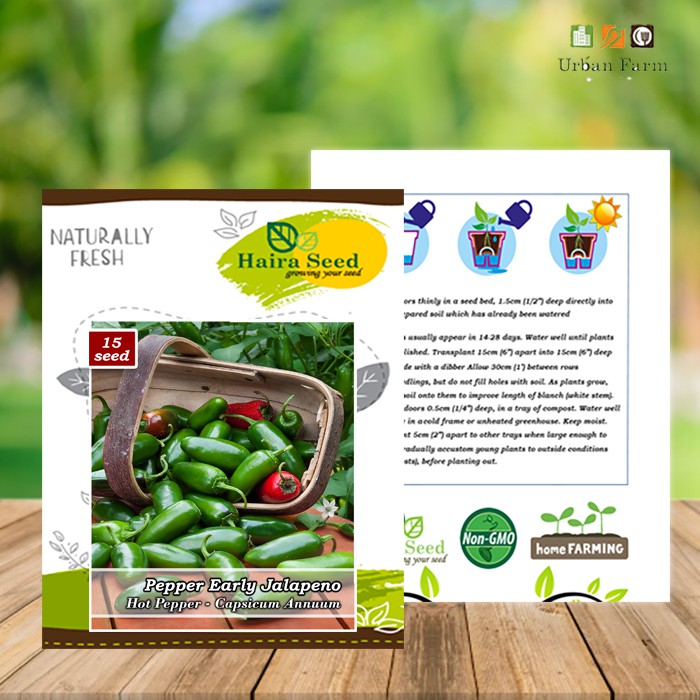 Benih-Bibit Cabe Jalapeno Early (Haira Seed)