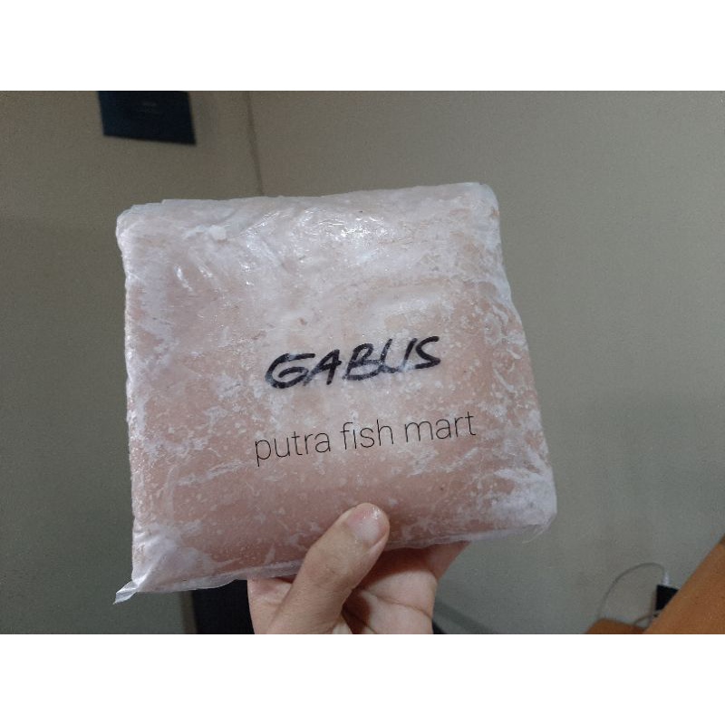 

ikan gabus sungai giling