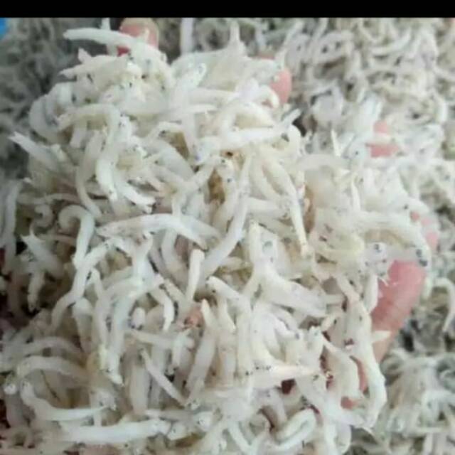 

teri nasi 500 gr