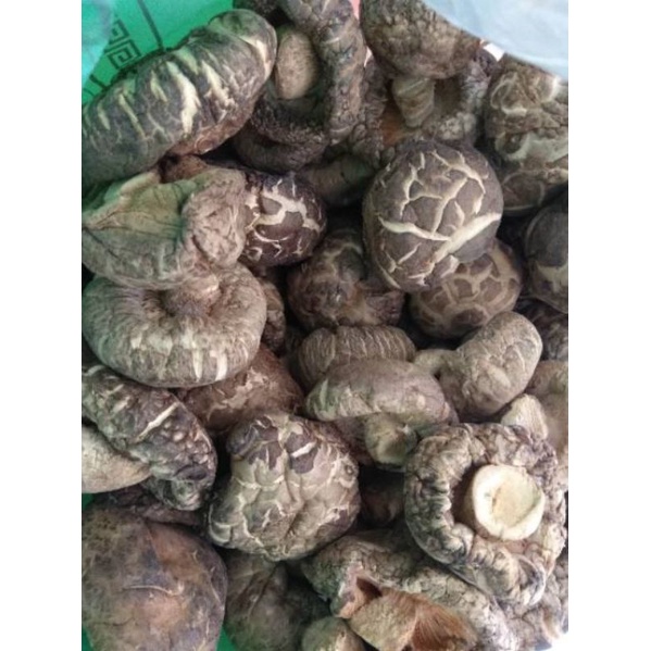 

Jamur Kering Hioko Shitake 100 gr