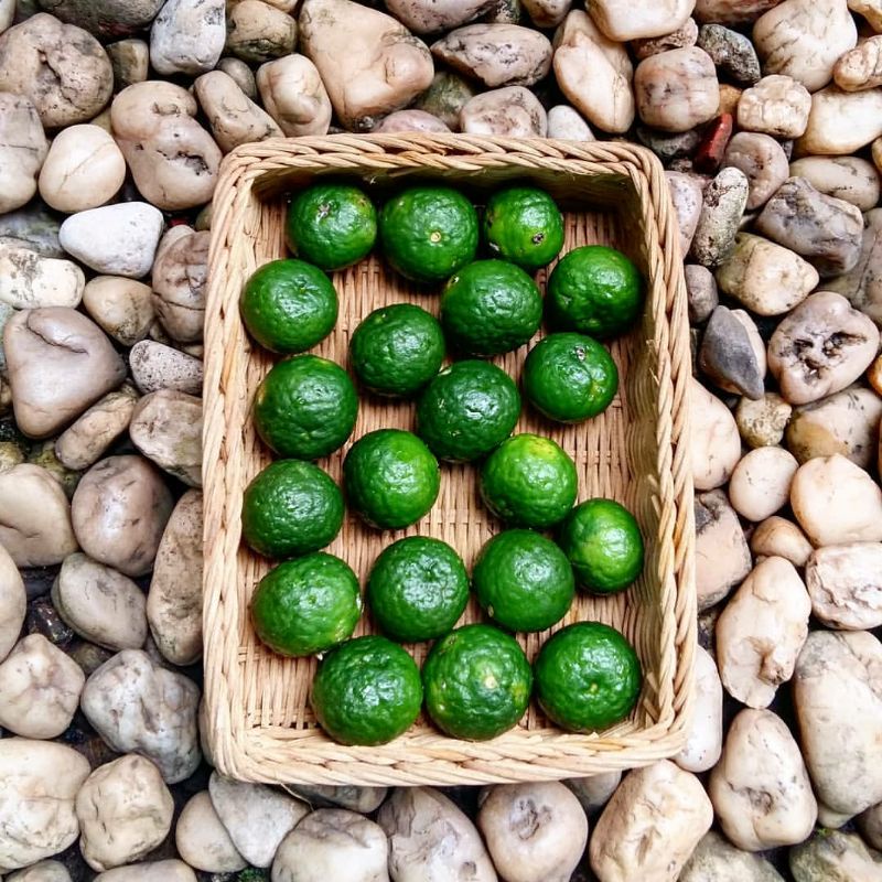 

jeruk limo / jeruk sambal per 1kg kualitas super petik pagi dari kebun