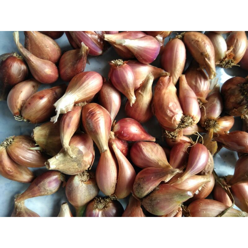 

Bawang Merah Sumenep 500 gr