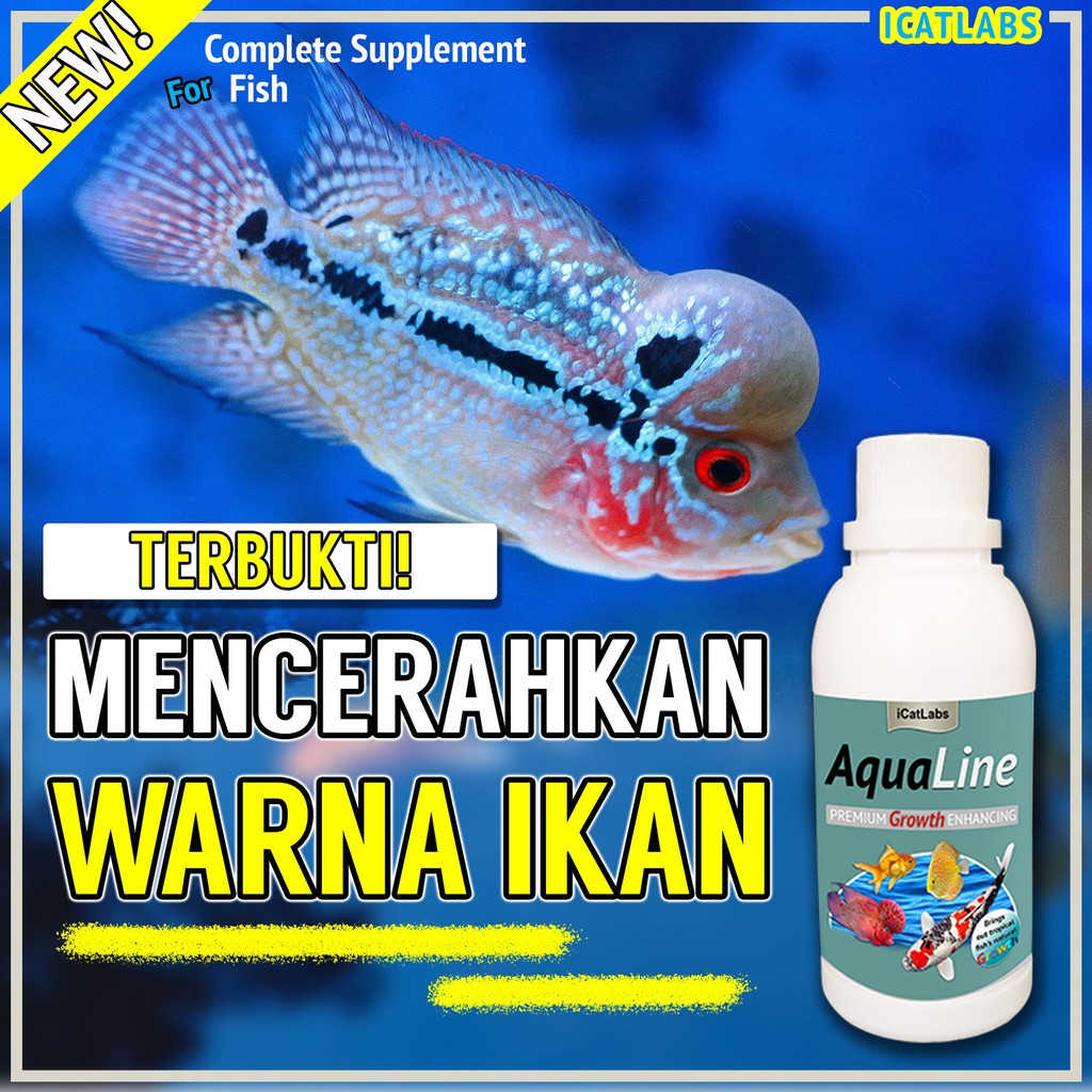 [A2] AQUALINE PAKAN WARNA IKAN IKAN ARWANA IKAN LOUHAN IKAN KOI ARWANA IKAN KOKI AQUARIUM IKAN HIAS