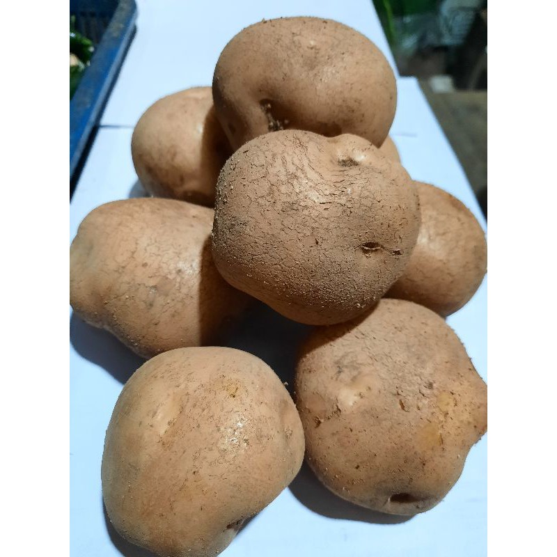 

Kentang 500gram