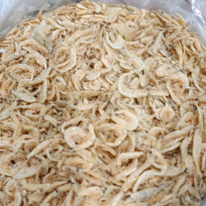 

Udang Rebon Medan / Udang Kacepe Medan 250gr