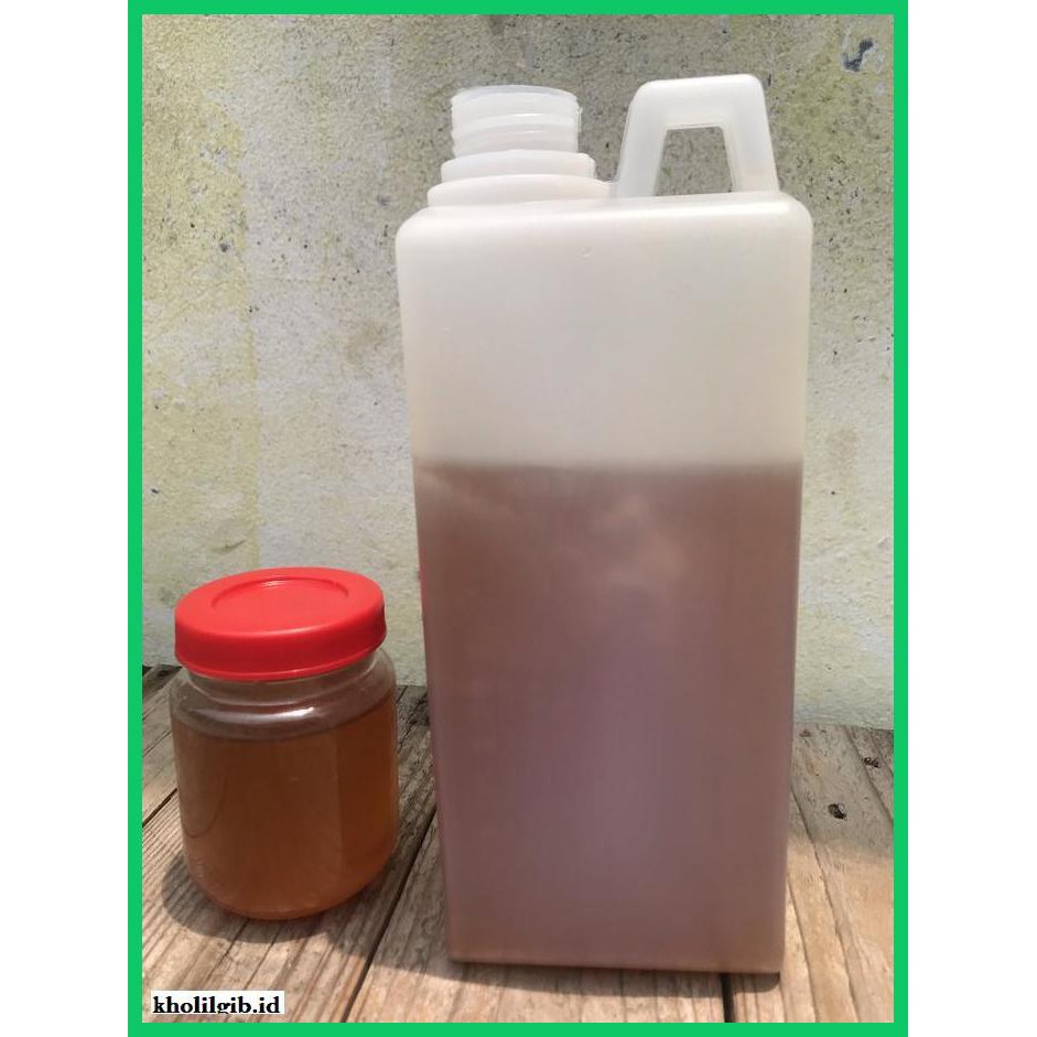 

MADU-MINUMAN- MADU HUTAN MULTIFLORA -ASLI-BUKAN-KAWE-KAWE-