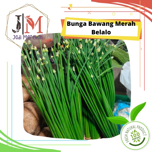 

[JM SoFresh] - Daun Bawang Merah / Belalo (Kembang Bawang)