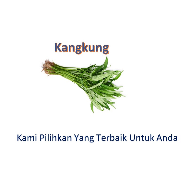 

Kangkung Per ikat / Kangkung Segar / Sayur Bumbu