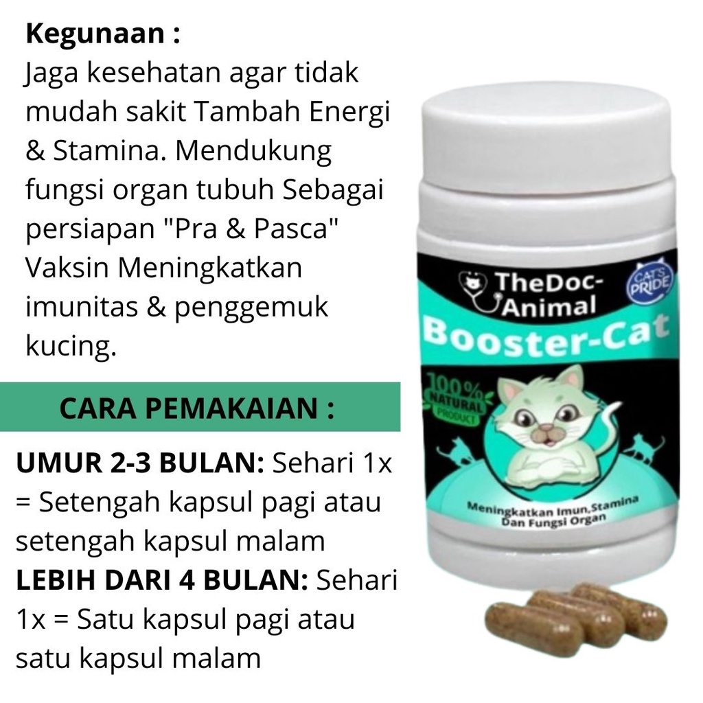 Vitamin Kucing Imunitas, Stamina BOOSTER CAT FEZONE