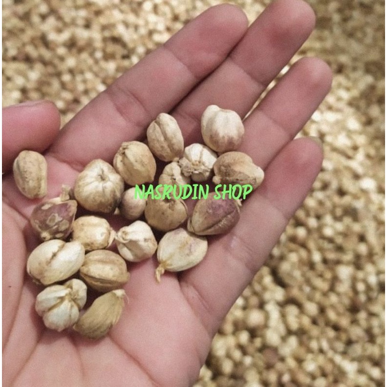 

KAPULAGA 1KG / BUAH KAPOLAGA KERING / KPULAGA / KAPULOGO / BUAH KAPOL / PROMO / TERMURAH / TERLARIS / GRATIS ONGKIR / HEMAT / DISKON / UNTUNG / HERBAL / REMPAH