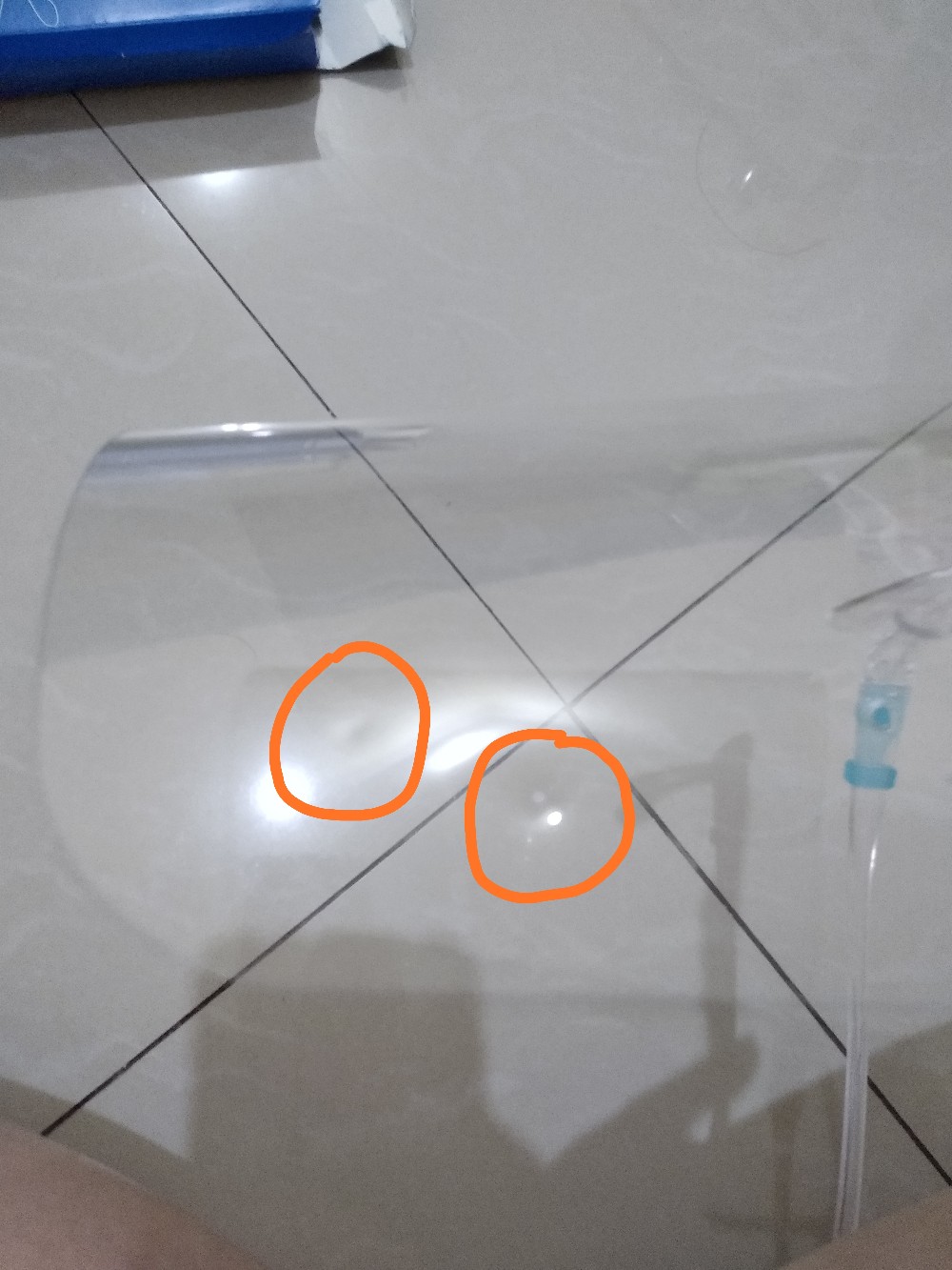 Face Shield Dengan Kemasan Box Paul Lorna