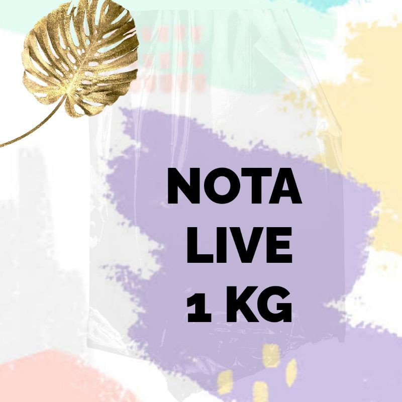 Khusus Nota Live Streaming Fix no Php