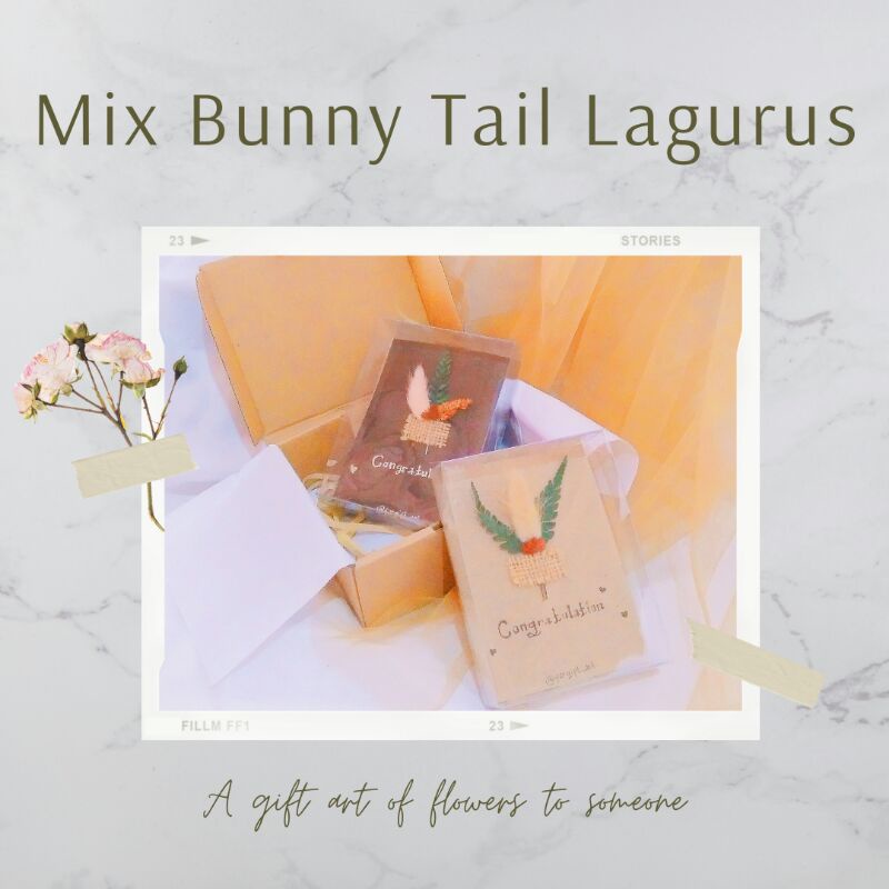 

Hampers Pajangan Rustik Bunnytail Lagurus KD02 Giftbox | Bucket | Souvenir | Kado Wisuda