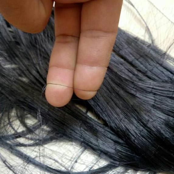 Jaring burung hitam lebar 4 meter tambah 2 benang.