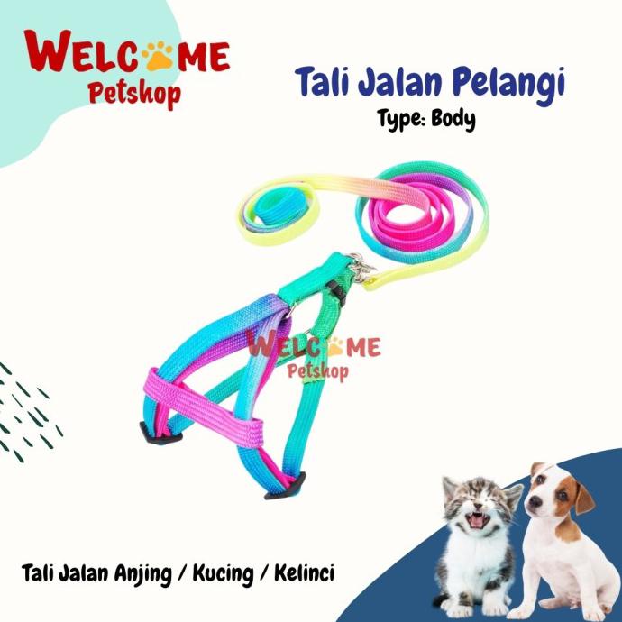 Tali Jalan Anjing Kucing Kelinci Pelangi / Leash / Tali Jalan