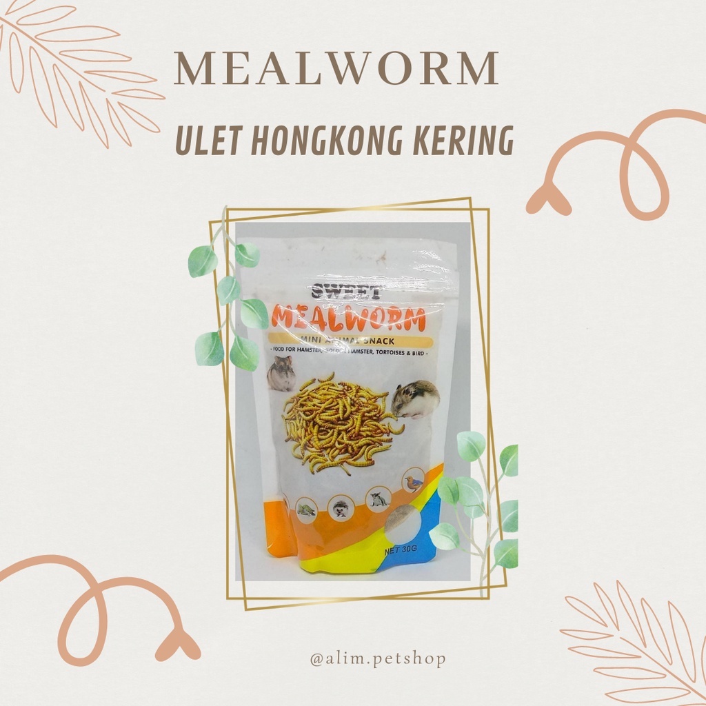 Mealworm - Ulat Hongkong Kering Makanan Hewan