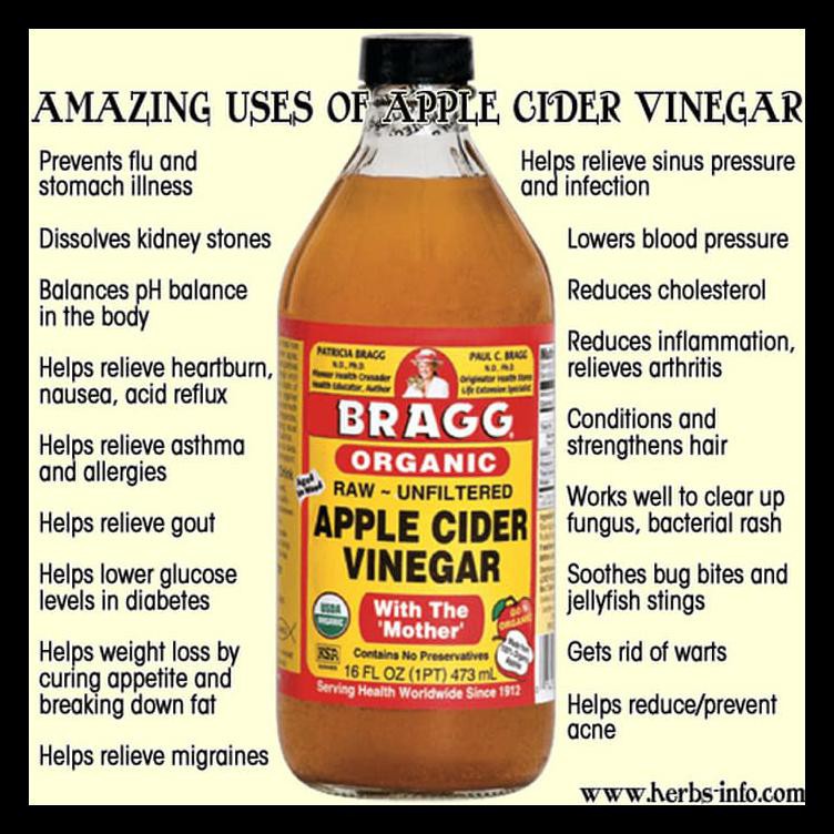 

Bragg Apple Cider Vinegar ( Cuka Apel) Terbaik