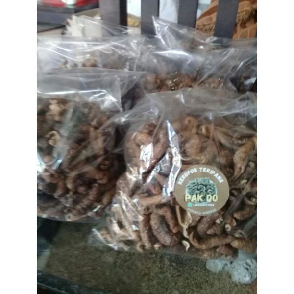 

keripik teripang matang 500 grm harga grosir