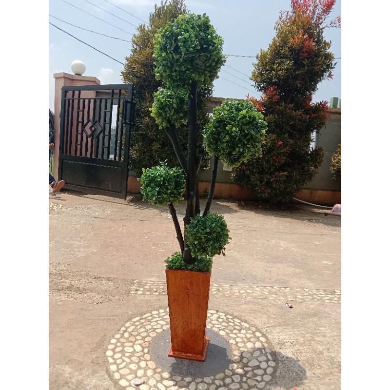 BONSAI BULAT/BONSAI BOLA/DAUN DOLAR/BUNGA SUDUT/POT KAYU / BUNGA ARTIFICIAL / BUNGA SINTETIS / BUNGA