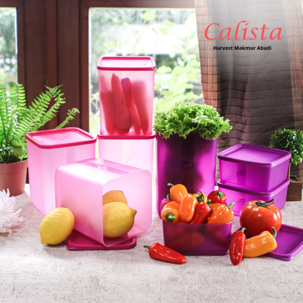 [CALISTA] FOOD KONTAINER SET JASMINE ISI 4