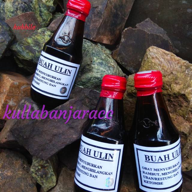 MINYAK BUAH ULIN (Kayu Besi Asli Kalimantan)