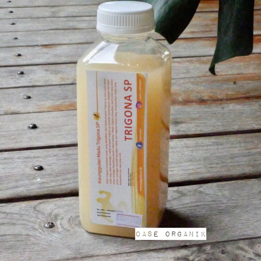 

Madu Trigona Jogcha 250ml