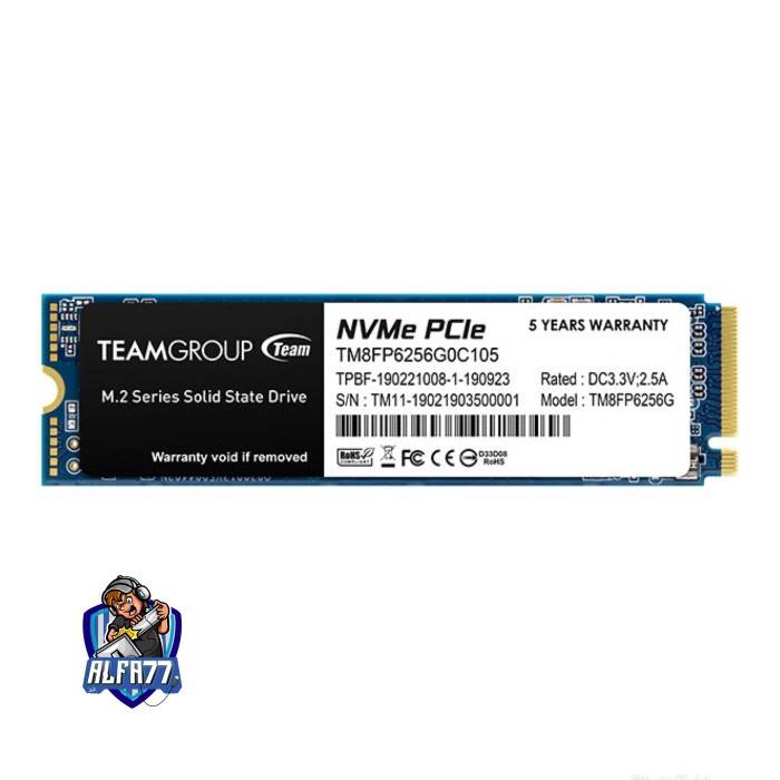 Team Group MP33 256GB nvme Ssd
