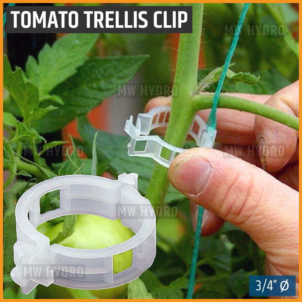 10 pcs Tomato Trellis Clip / Plant Clip - Klip Tali Lanjaran Tanaman Tomat