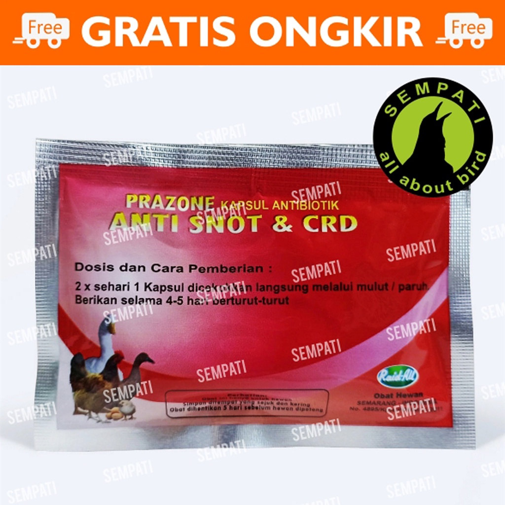 OBAT ANTI SNOT CRD PRAZONE PILEK AYAM BURUNG BEBEK OBAT SNOT BERAK KAPUR UNGGAS BEBEK PUYUH BURUNG