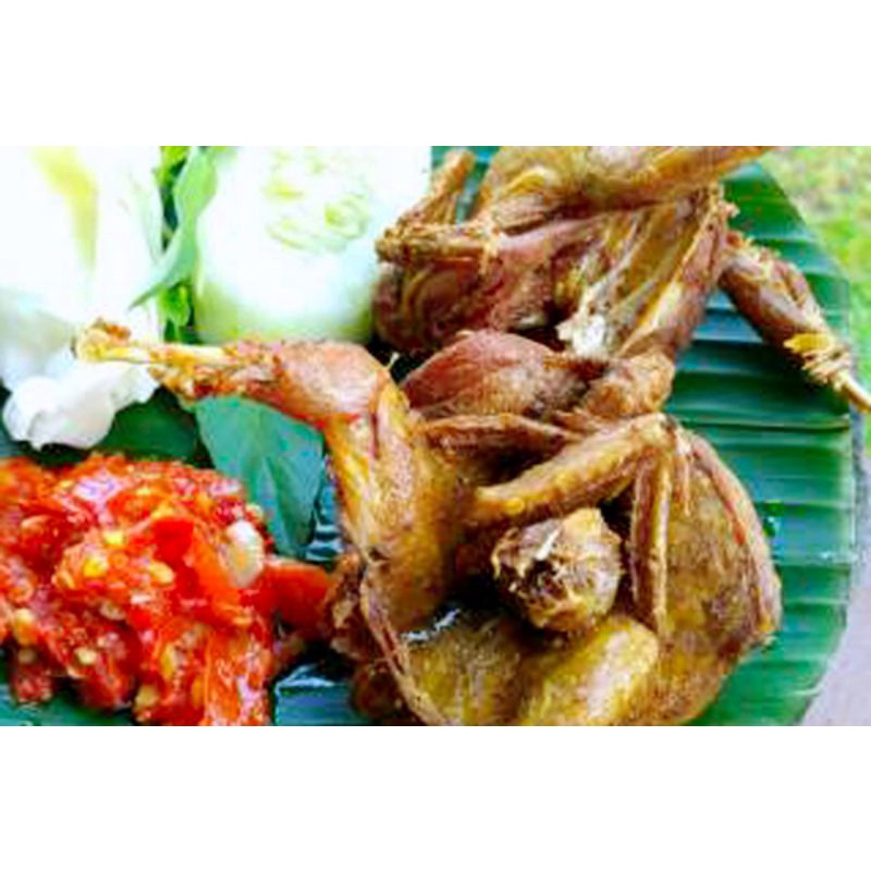 

puyuh goreng