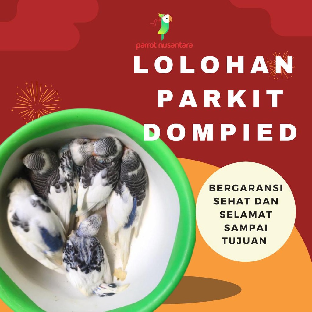 parkit lolohan dompied